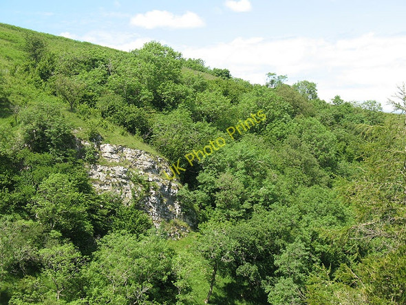 Photo 6"x4" Crag Wood, Smardale Gill Smardale c2009