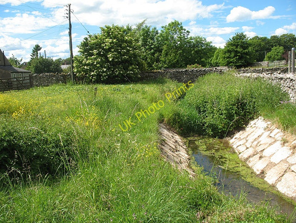 Photo 6"x4" Overgrown stream Brownber\/NY7005 c2009