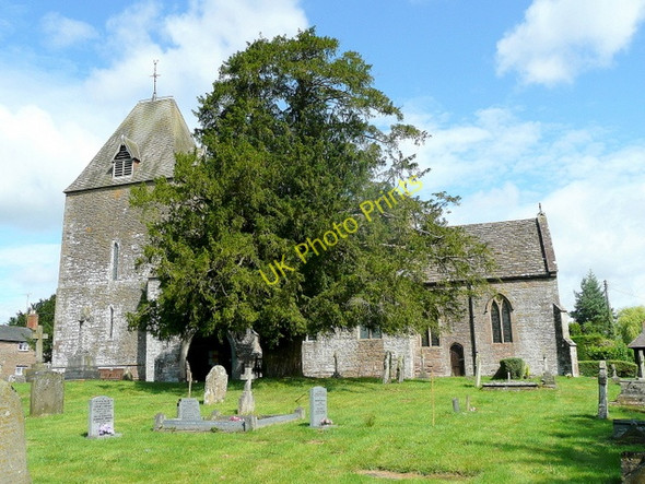 Photo 6"x4" St. David's church, Much Dewchurch Much Dewchurch c2009