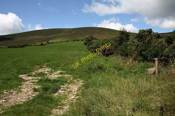 Photo 6"x4" Field Boundary Ballypatrick c2009