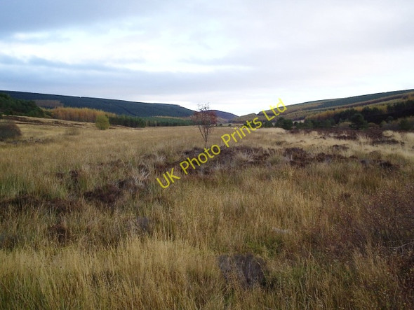 Photo 6"x4" Strath Rory Strath Rory c2005