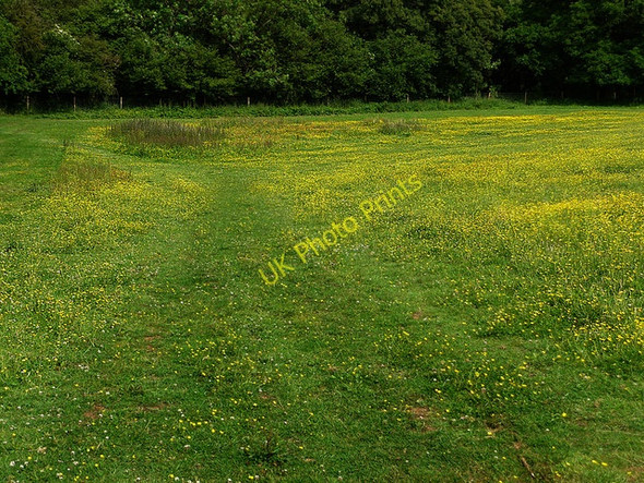 Photo 6"x4" North Downs Way Heaverham c2009