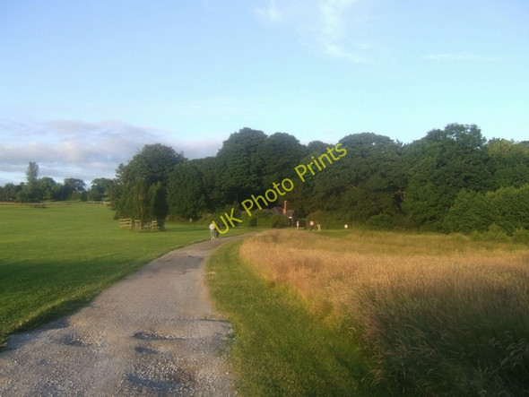 Photo 6"x4" Path to Victoria Lodge Killarney c2009