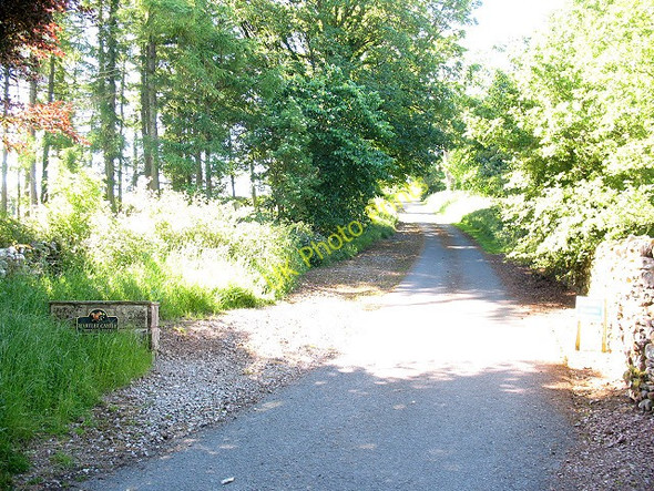 Photo 6"x4" Road to Hartley Castle Kirkby Stephen c2009
