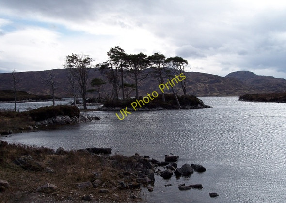 Photo 6"x4" Loch Assynt Allt na Doire Cuilinn c2006