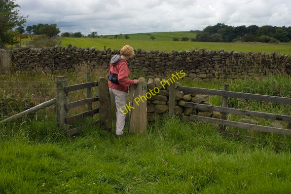 Photo 6"x4" Crossing the fell road from Ouzel Thorn Tarnbrook c2009
