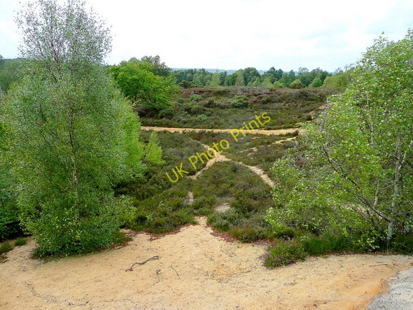 Photo 6"x4" Broxhead Common Bordon c2009