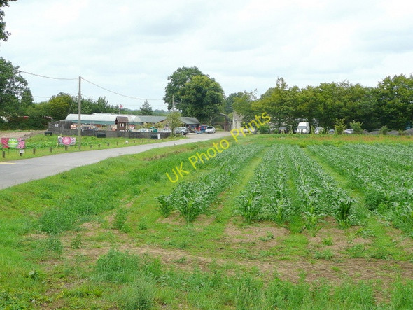 Photo 6"x4" Rural businesses north of Mill Lane, B3002 Bordon c2009