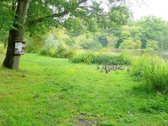 Photo 6"x4" Private access - for ducks Fisherstreet c2009