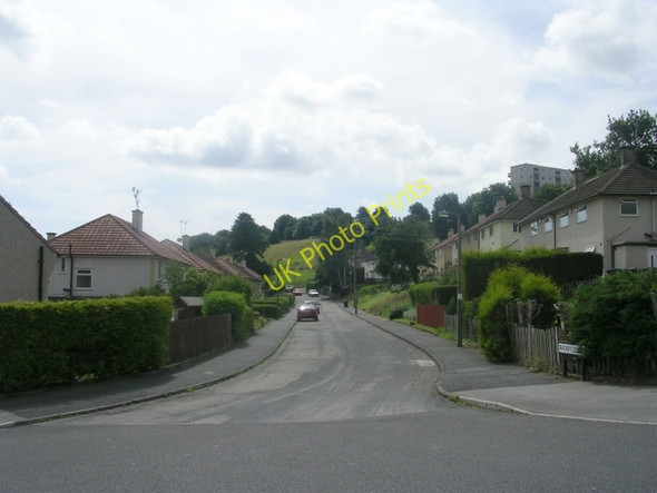 Photo 6"x4" Bracken Edge - Parkland Drive Thorpe Edge c2009