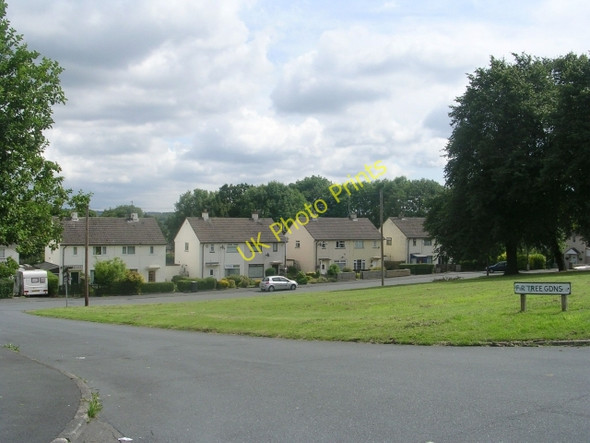 Photo 6"x4" Fir Tree Gardens - Orchard Grove Bank Top\/SE1836 c2009