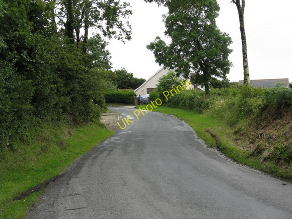 Photo 6"x4" Twisty Lane To Wooden Cold Inn c2009