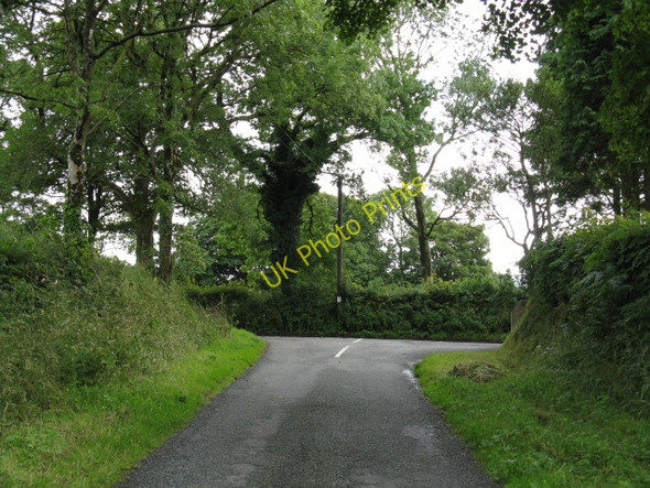 Photo 6"x4" Lane Junction At Langdon Reynalton c2009