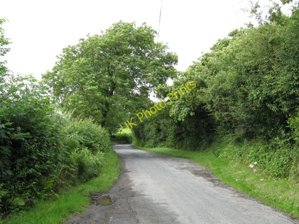 Photo 6"x4" Minor Lane North From Kilgetty Broom\/SN1108 c2009