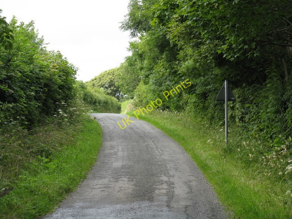 Photo 6"x4" Lane Near Trewern Broom\/SN1108 c2009