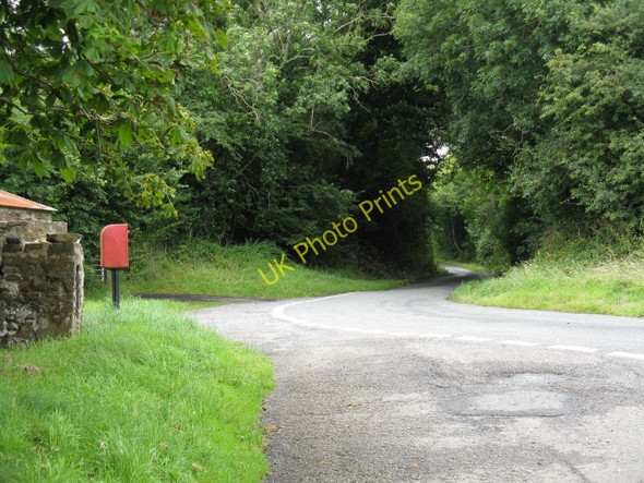Photo 6"x4" Lane To Templeton Thomas Chapel c2009