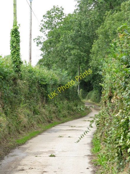 Photo 6"x4" Track To Welston Carew Cheriton c2009