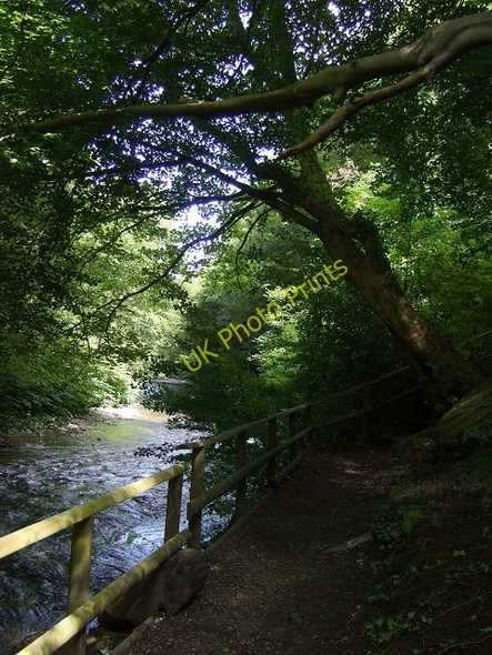 Photo 6"x4" Sirhowy Valley Country Park Path Wattsville c2009