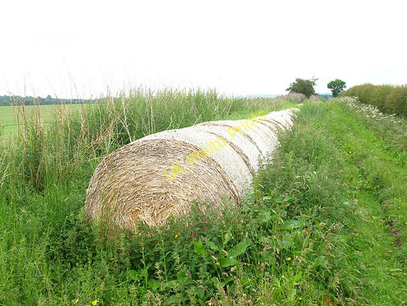 Photo 6"x4" Straw bales by the track Chatton c2009