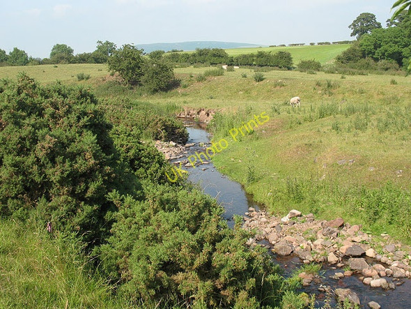 Photo 6"x4" Humbleton Burn Wooler c2009
