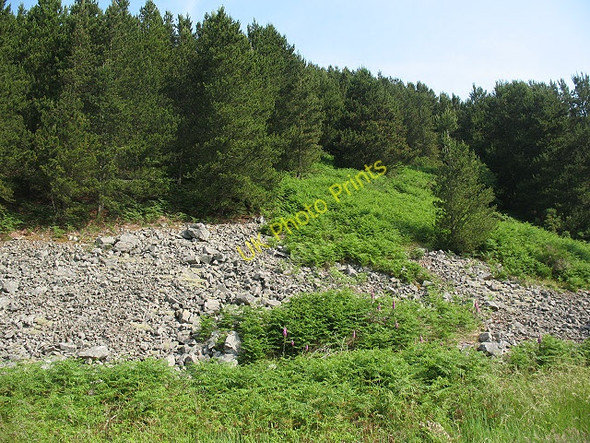 Photo 6"x4" Scree at the foot of Watch Hill Middleton Hall\/NT9825 c2009