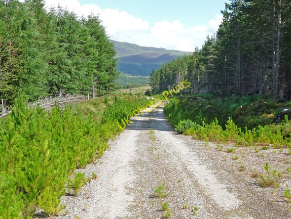 Photo 6"x4" Track in Coille Coire Mhuilidh Gorstan c2009