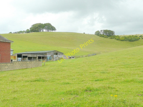 Photo 6"x4" Combe in Hinton Downs Bishopstone\/SU2483 c2009