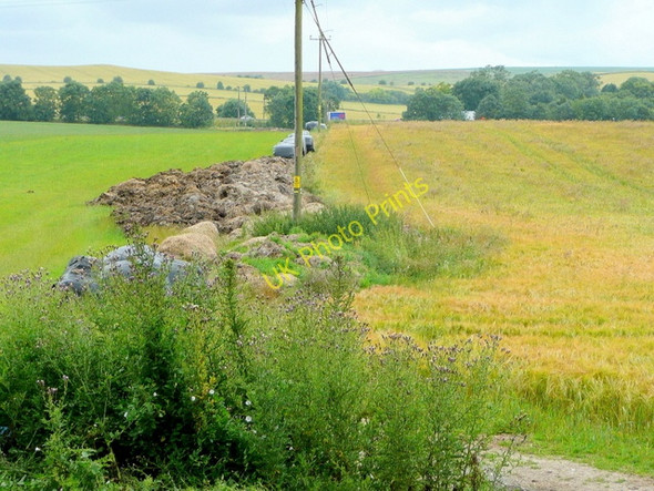 Photo 6"x4" Wanborough Plain Bishopstone\/SU2483 c2009