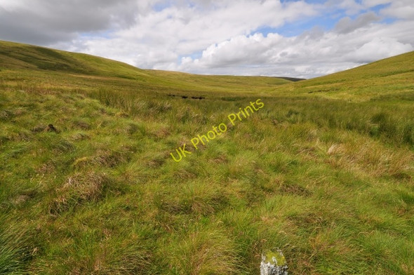 Photo 6"x4" Wet grassland Earncraig Hill c2009