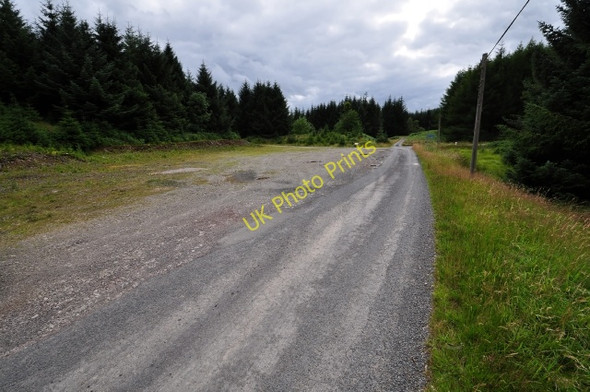 Photo 6"x4" Open area in forest Beattock c2009