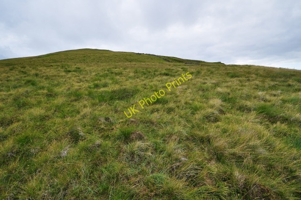 Photo 6"x4" Comb Head summit Comb Head c2009