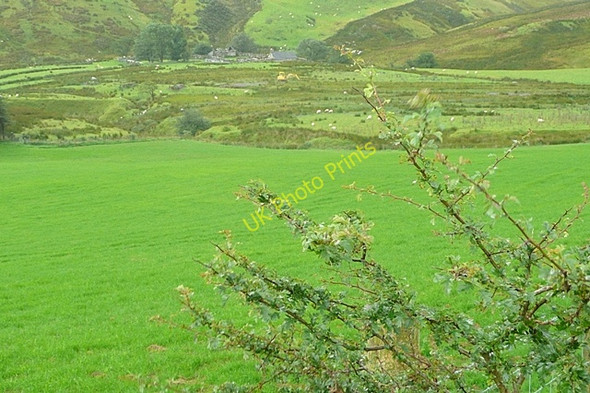 Photo 6"x4" Towards Cwm-ffynnon Talardd\/SH8926 c2009