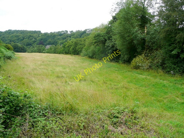 Photo 6"x4" Pasture beside the Wye Stowfield c2009