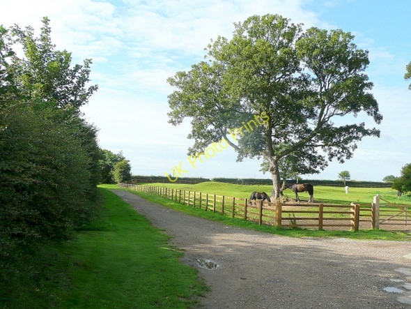 Photo 6"x4" Footpath and track Ulceby\/TA1014 c2009