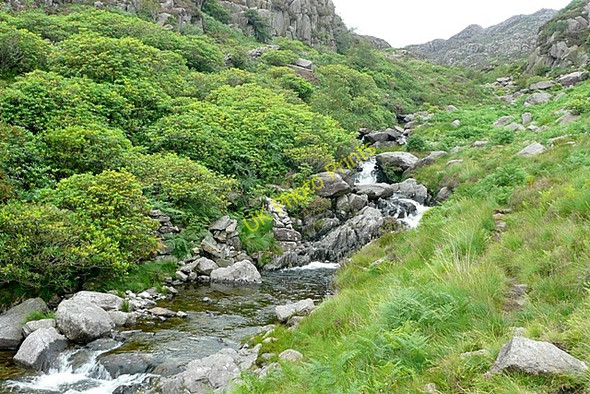 Photo 6"x4" Path by Afon Llynedno Bethania\/SH6250 c2009