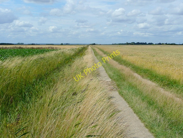 Photo 6"x4" Track from Pepper Hill Farm Tongue End c2009