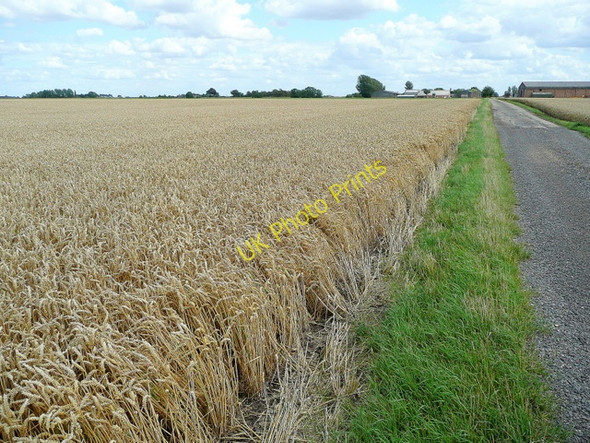 Photo 6"x4" Track to Worth's Farm Deeping St Nicholas c2009