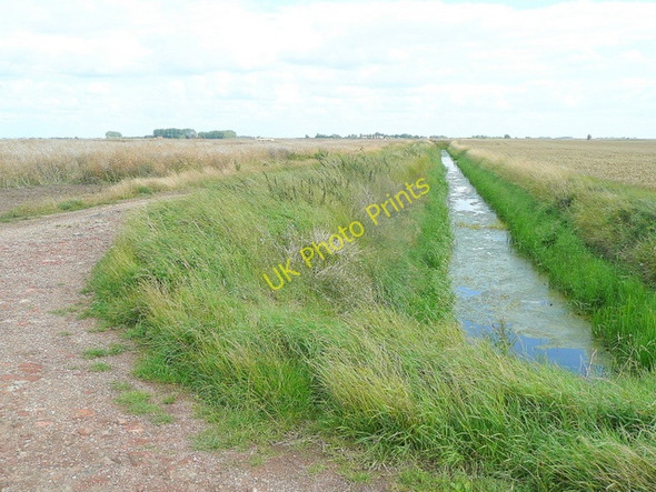 Photo 6"x4" Rape crop and drain Deeping St Nicholas c2009