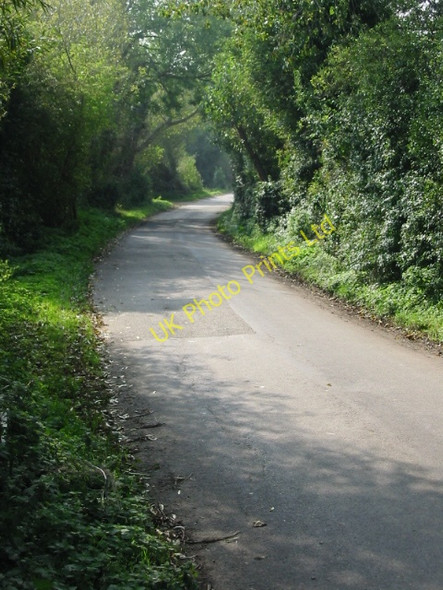 Photo 6"x4" Looking SW along Hay Lane, Ham Felderland c2007