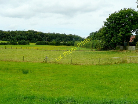 Photo 6"x4" Pasture at Crossways Lower Berry Hill c2009