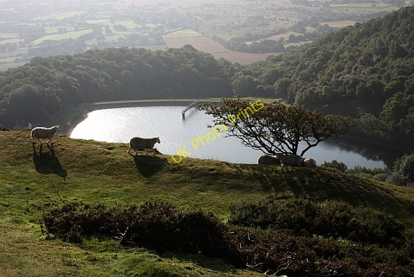 Photo 6"x4" British Camp Reservoir Little Malvern c2009