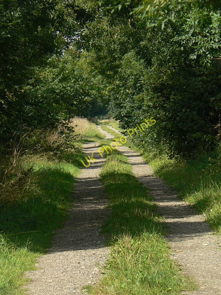 Photo 6"x4" Northcroft Lane Collingham\/SK8361 c2009