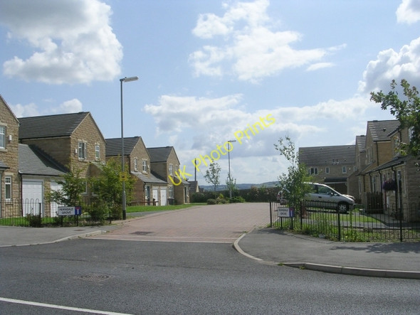 Photo 6"x4" Ferndale Grove - Long Hill Road Netheroyd Hill c2009