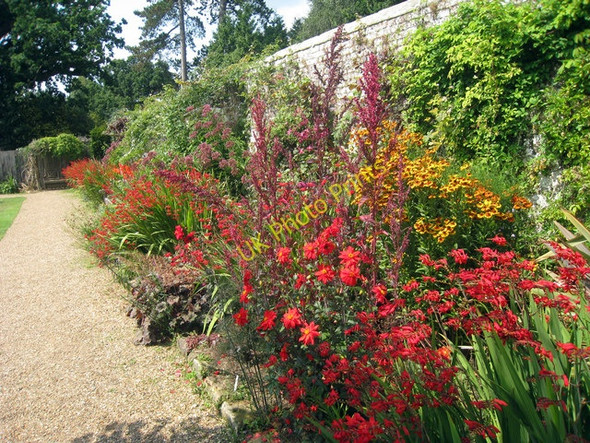 Photo 6"x4" Garden at Groombridge Place Birchden c2009