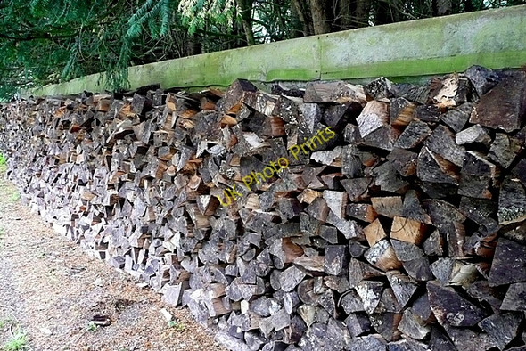 Photo 6"x4" Logs at Pyrton Hill House Christmas Common c2009