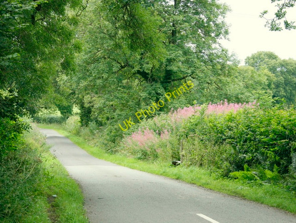 Photo 6"x4" 2009 : Fental Lane from Old Wells Road East End\/ST6746 c2009