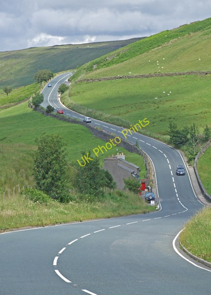 Photo 6"x4" Near Borrowdale Ashstead c2009 P1
