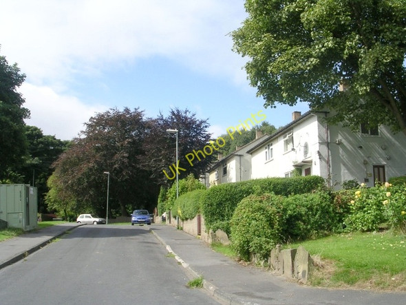 Photo 6"x4" Gisbourne Road - Alandale Road Bradley\/SE1620 c2009