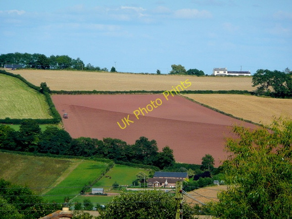 Photo 6"x4" Evening cultivation Linton Hill\/SO6624 c2009