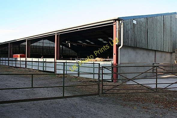 Photo 6"x4" Hatton Farm Coltfield c2007